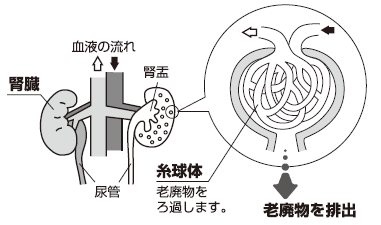 腎症