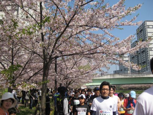 2009芦屋国際ファンラン１